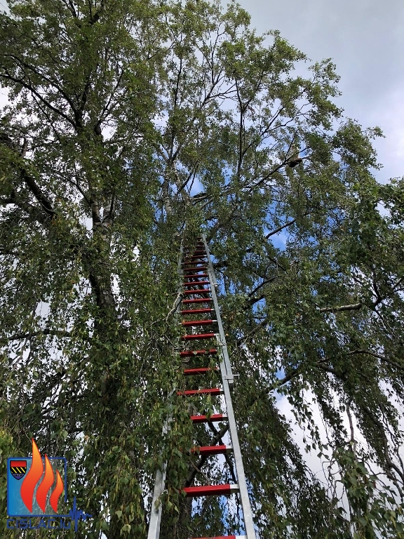 Technische Hilfeleistung Technische Hilfeleistung